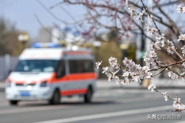 今日热搜通化县城吉林通化市通化县-第3张图片-太平洋在线下载