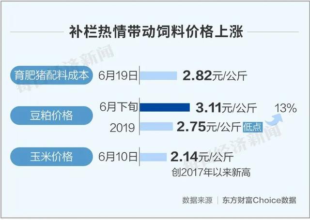 热搜榜今日猪价格绵阳四川绵阳今日毛猪价-第6张图片-太平洋在线下载