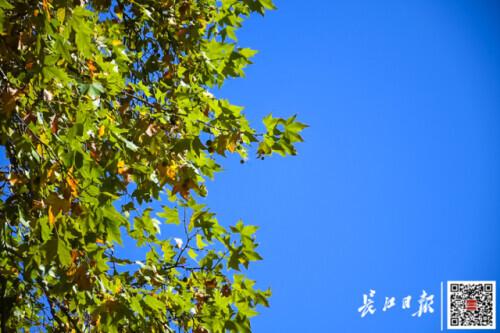 今日头条义乌天气热搜义乌天气24小时预报-第7张图片-太平洋在线下载