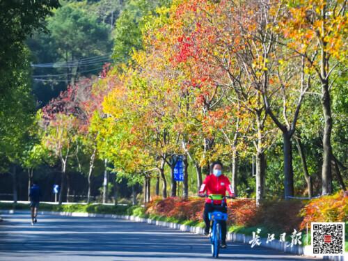 今日头条义乌天气热搜义乌天气24小时预报-第10张图片-太平洋在线下载