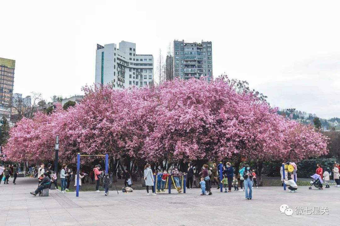 毕节人民公园今日热搜毕节夜市一条街-第2张图片-太平洋在线下载