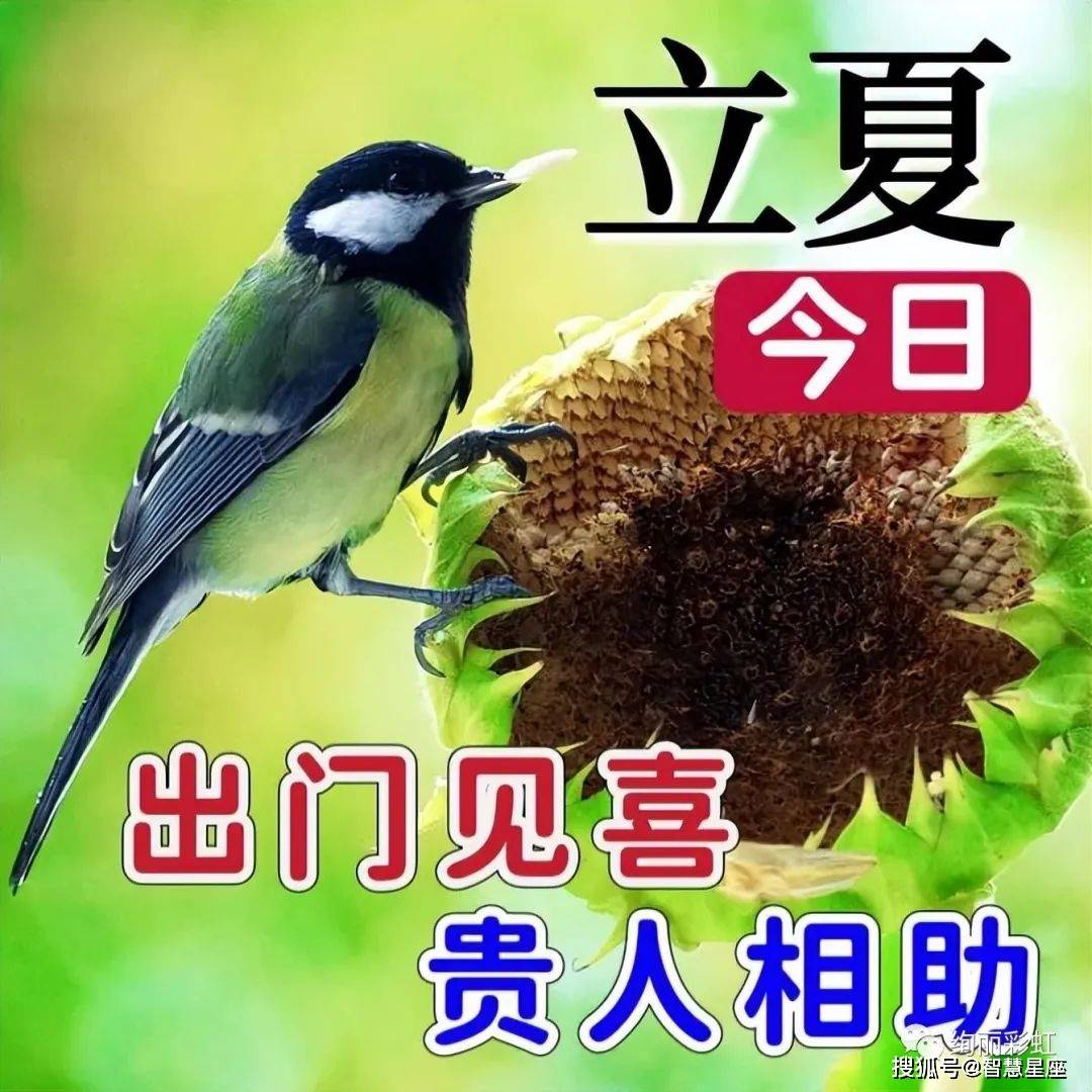 图片2023手机壁纸:2023最新立夏早上好祝福图片带字-第3张图片-太平洋在线下载