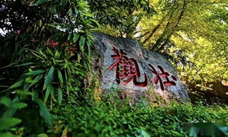 滕州：双节期间“游滕城”热度高涨 近郊乡村游催热“美丽经济”-第5张图片-太平洋在线下载