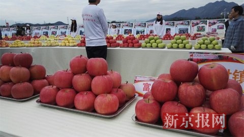 昌平苹果今日新闻昌平苹果专卖店地址-第2张图片-太平洋在线下载