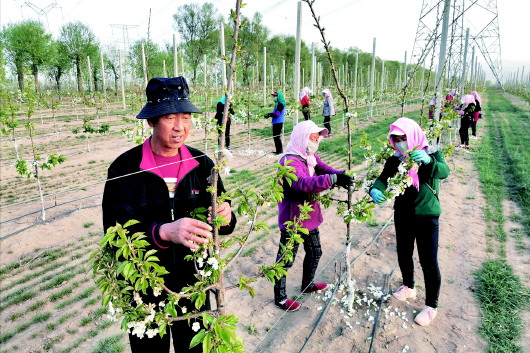 崇信县苹果园新闻事件最新2019年崇阳县哪些村子拆迁-第2张图片-太平洋在线下载