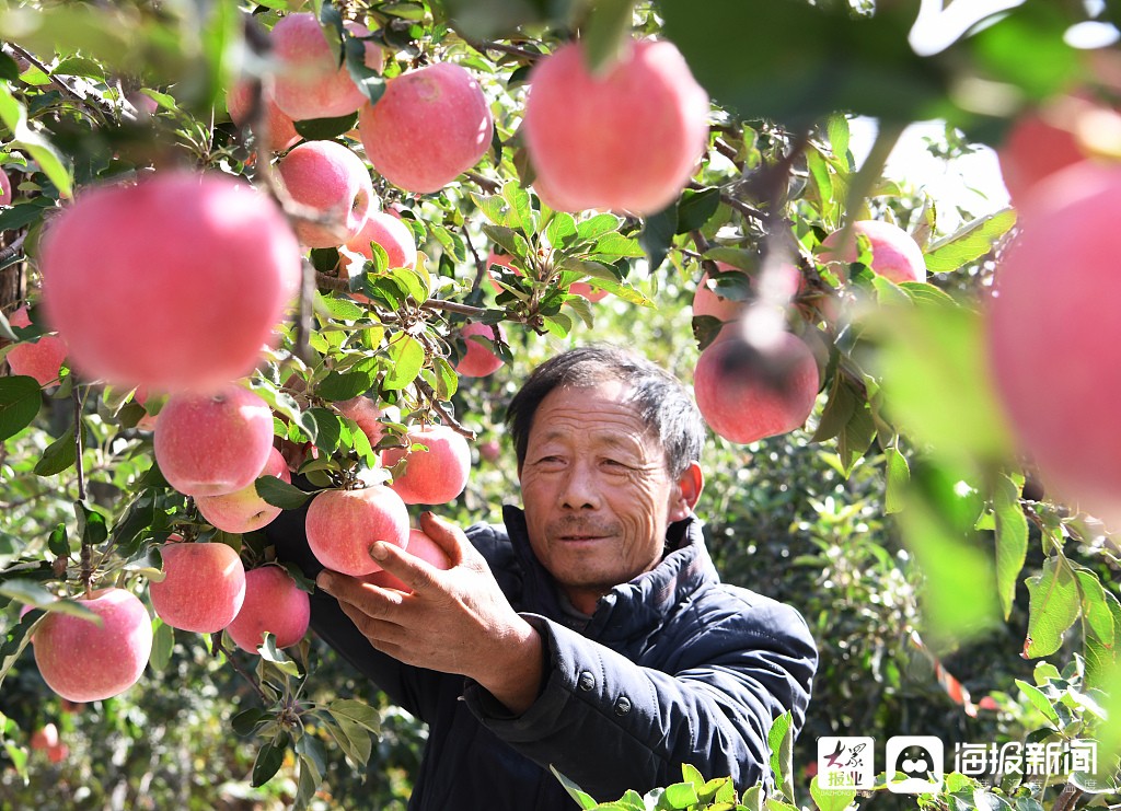 枣庄新闻苹果电脑枣庄新闻网枣庄日报-第2张图片-太平洋在线下载