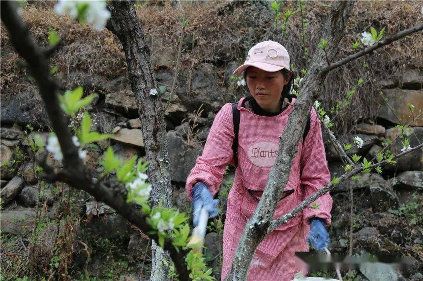 手机版村民会种地吗吗我的世界怎么让村民种地